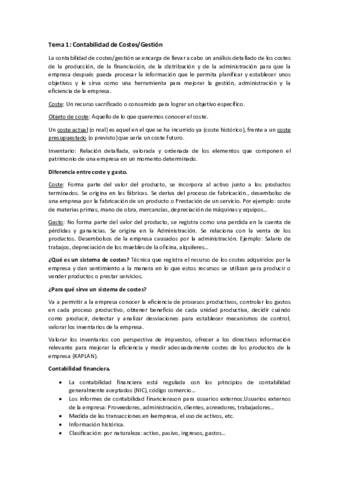 Temas-Control-de-Gestion-1-14.pdf