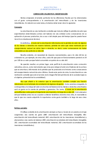 Pildora-sobre-amortizacion.pdf