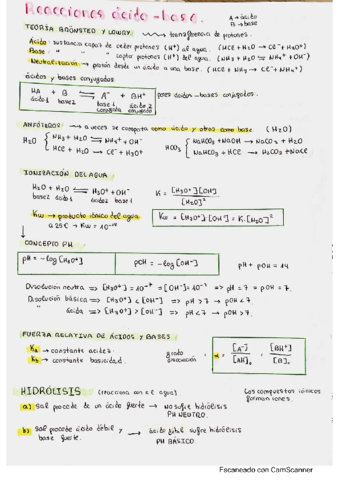 resumen.pdf