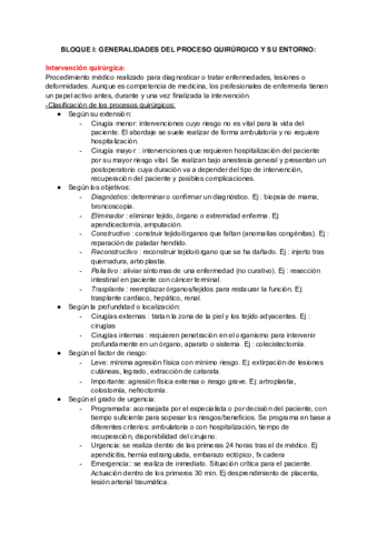 TEMARIO-ADULTO-II.pdf