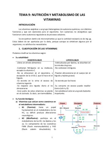 Tema-9-vitaminas.pdf