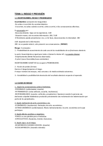 Resumen-Producto-Seguro.pdf