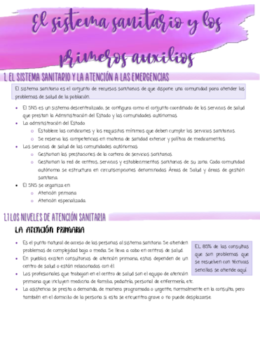 tema-1-el-sistema-sanitario-y-los-primeros-auxilios.pdf