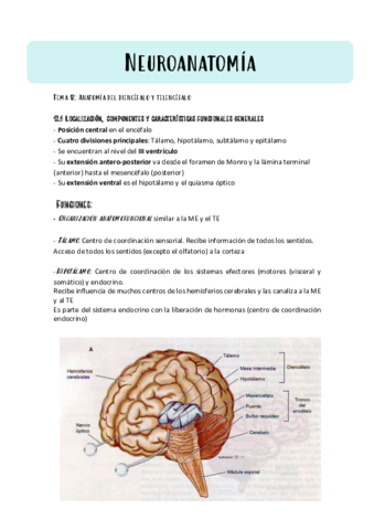 Tema-12-NEUROANATOMIA.pdf