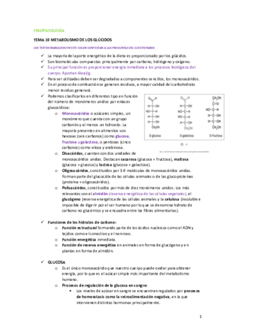 FISIOPATOLOGIA-T10.pdf