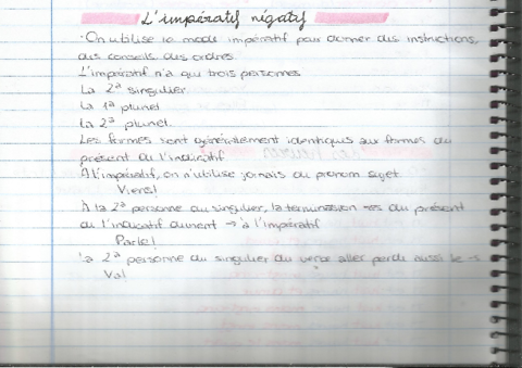 l-imperatif-negatif.pdf