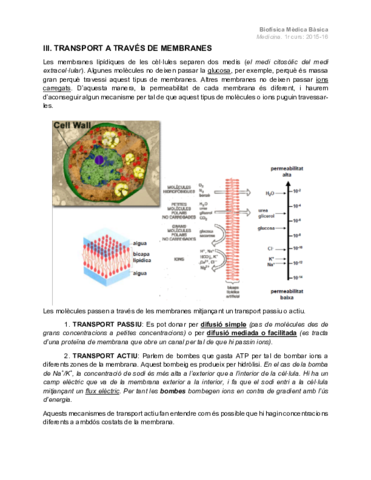 III. Transport a través de membranes.pdf