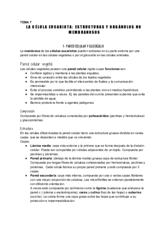 UD7-Organulos-membranosos-2.pdf