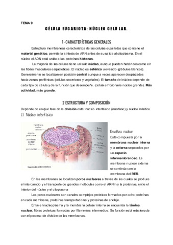 UD9-Eucariota-nucleo-celular.pdf