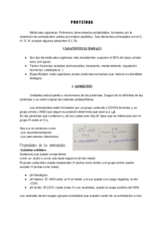 UD4-Proteinas.pdf