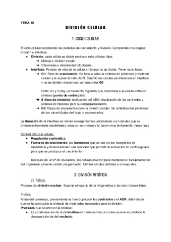 UD10-Division-celular.pdf