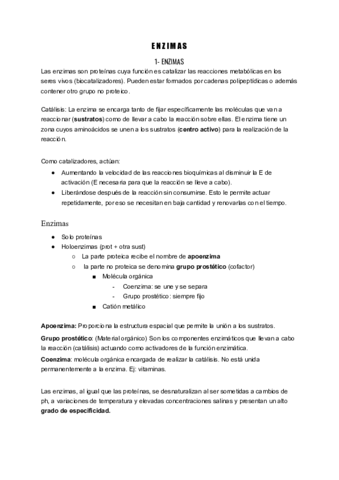 UD512-Enzimas-y-Acidos-nucleicos.pdf