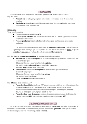 UD13-Catabolismo.pdf