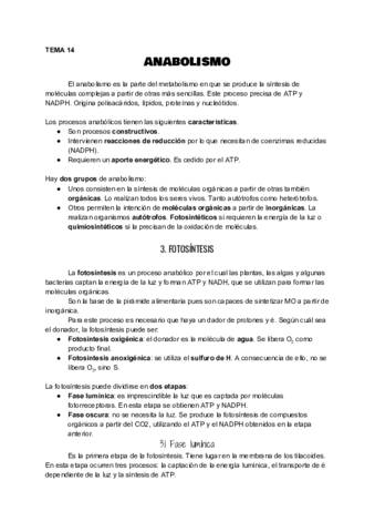 UD14-Anabolismo.pdf