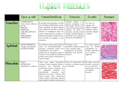 Tejidos-animales.pdf