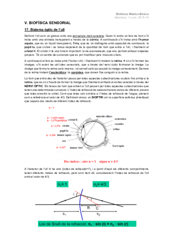 V. Biofísica sensorial.pdf