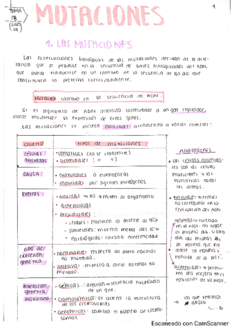 UD18-Mutaciones.pdf