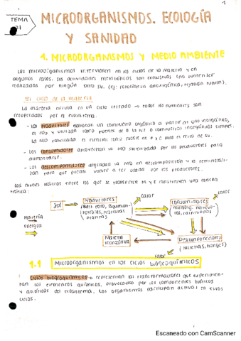UD21-Microorganismos.pdf