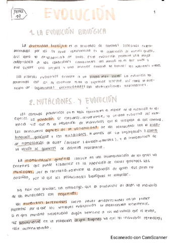 UD19-Evolucion.pdf