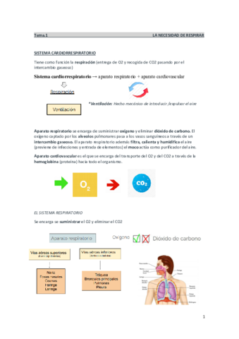 Cuidados-Enfermeria-A.pdf