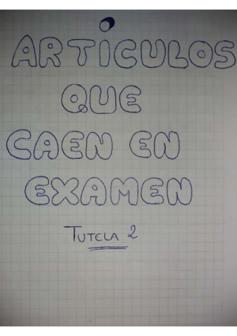 Articulos-que-caen-en-examen.pdf