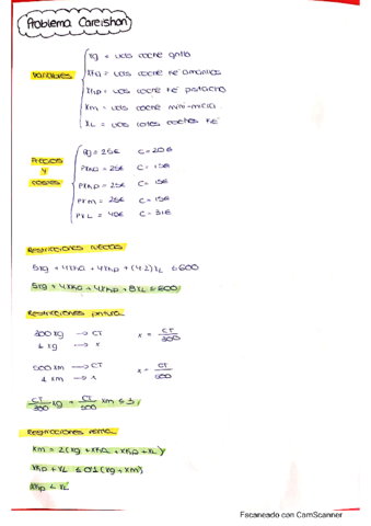 Careishon-resuelto.pdf