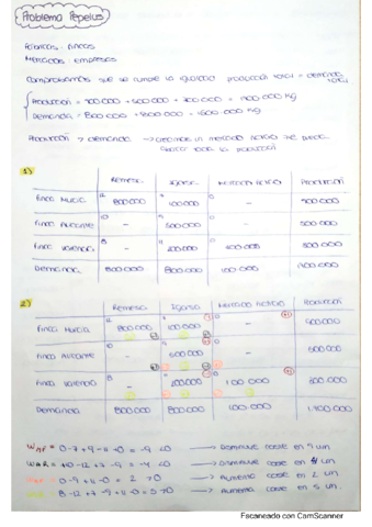 Pepelus-resuelto.pdf