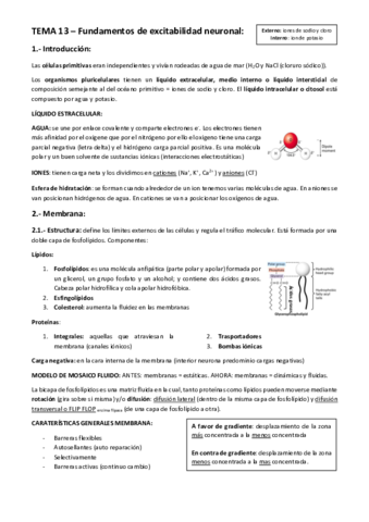 TEMA-13-BLOQUE-V.pdf