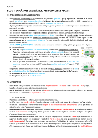 BT-4-mitocondris-i-cloroplasts.pdf