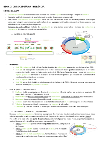 BT-7cicle-cellular-i-herencia.pdf