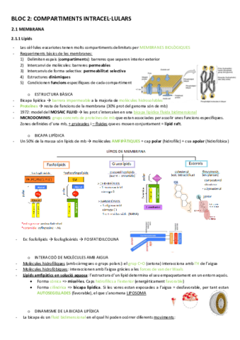 BT-2compartiments-intracellulars.pdf
