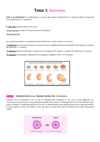 Tema-1-Embriologia-PDF.pdf