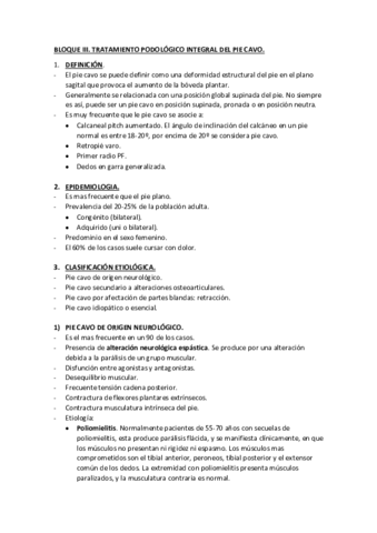 BLOQUE-III-PIE-CAVO.pdf