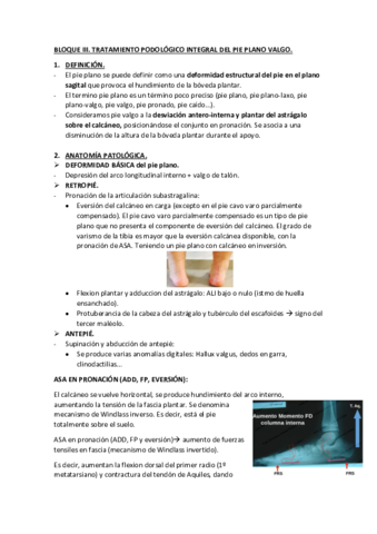 BLOQUE-III-PIE-VALGO.pdf