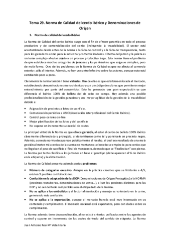 Tema-29.pdf