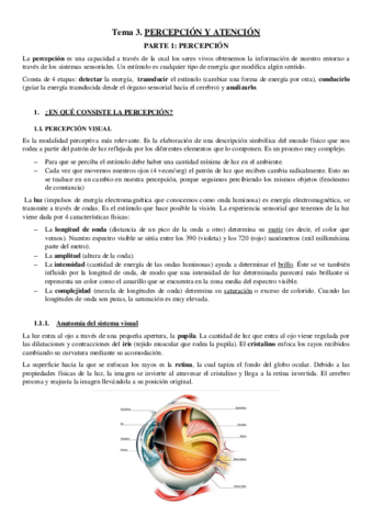 Tema-3.pdf