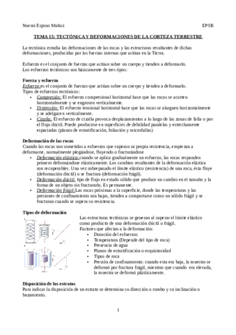 Resumen-tema-15.pdf