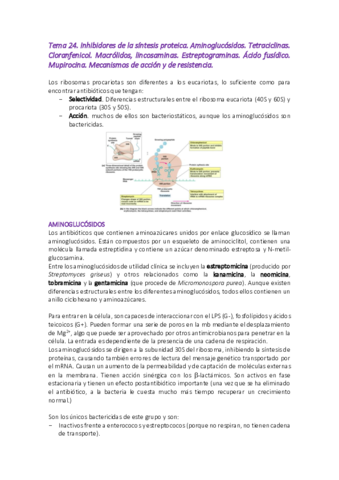 Tema-24-microbiologia.pdf