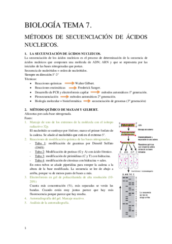 Tema 7 Biología Molecular y Citogenética.pdf