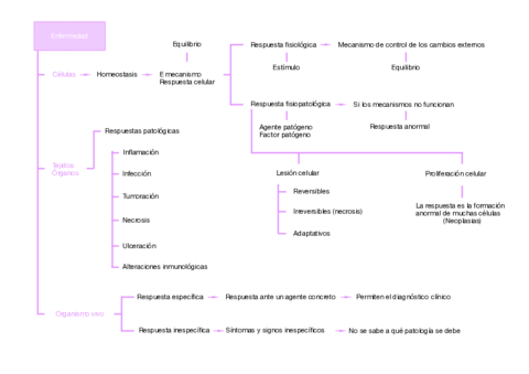 Enfermedad.pdf