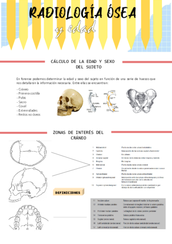 RADIOLOGIA-OSEA.pdf