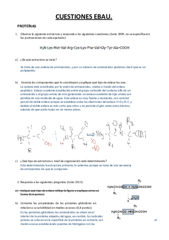 Cuestiones-EBAU-T.pdf