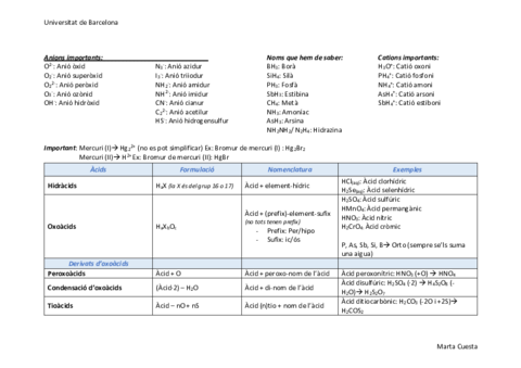 Formulacio.pdf