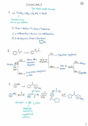Tema 9: Derivados nitrogenados.pdf