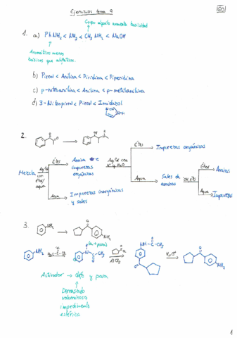 Tema 9: Derivados nitrogenados.pdf