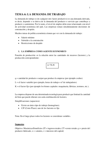 TEMA-6-PROPIO.pdf
