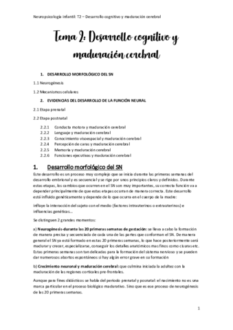 Tema-2-Neuro-Infantil.pdf