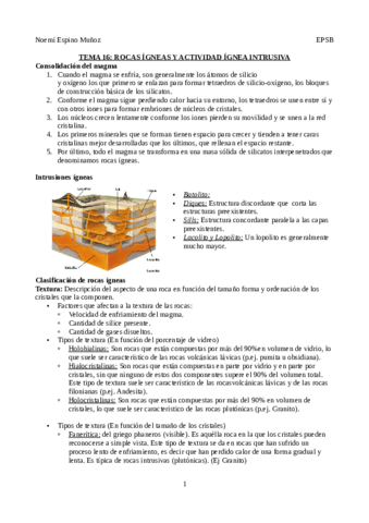 Resumen-tema-16.pdf