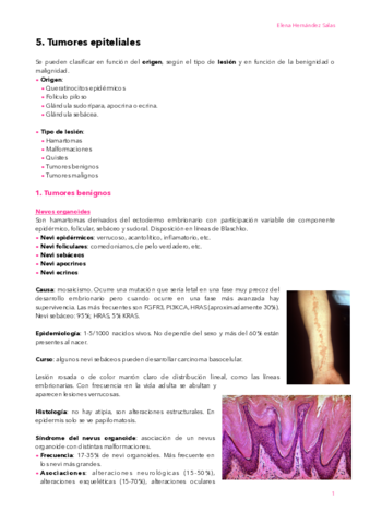 5-Tumores-epiteliales.pdf