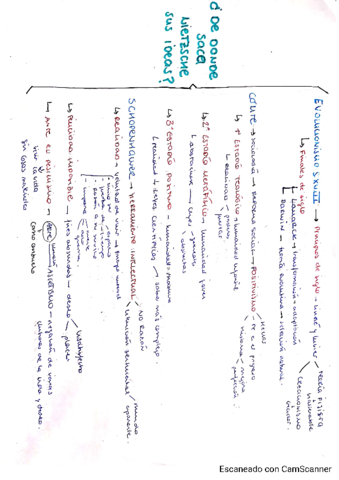 IDEAS-NIETZSCHE-ESQUEMA.pdf